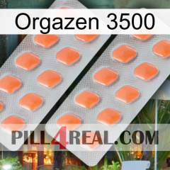 Orgazen 3500 27